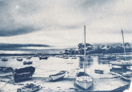 Cyanotype, île de batz, Finistère, CATHERINE MARY HOUDIN,